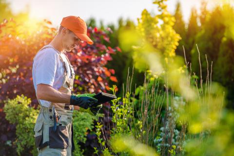 Bahçe Peyzaj Hizmetleri